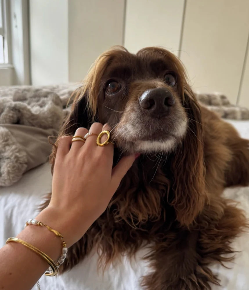 Olive Sunday customer review 1